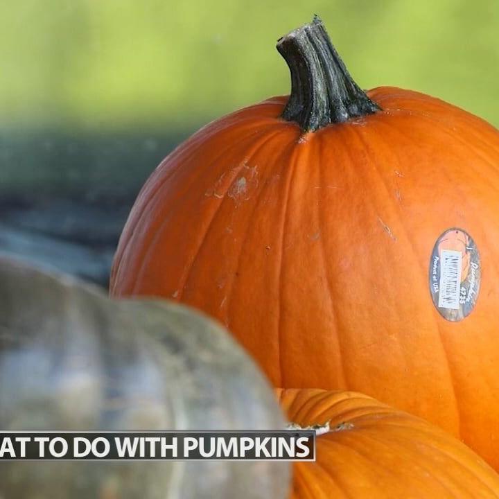 What to do with pumpkins after Halloween